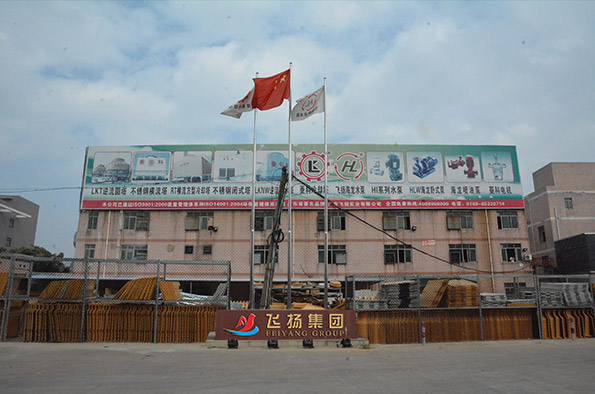 Guangdong Feiyang Group Industrial Co., Ltd.
